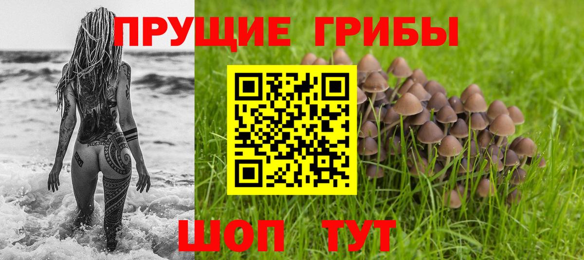 Аргун  Псилоцибиновые грибы Magic Shrooms  Галлюциногенные грибы Psilocybine cubensis  Вход с VPN 